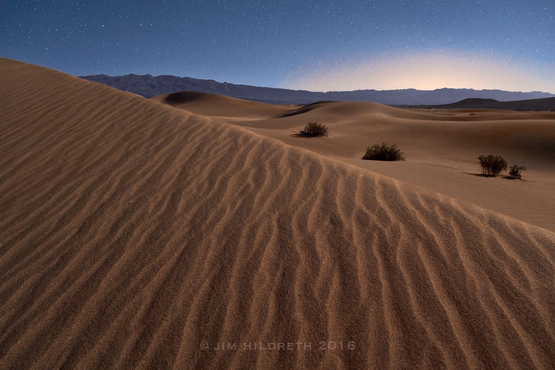 Moonlit Dunes