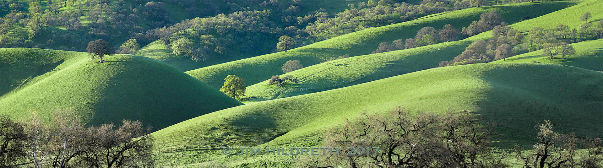 Rolling Green