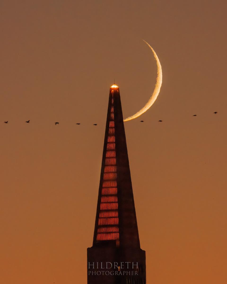 Crescent Fly By<br><br>
Print Ratio: 5x4
