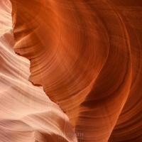 photography<br>© Jim Hildreth 2025