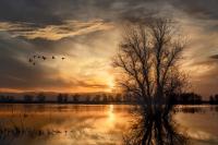 photography<br>© Jim Hildreth 2025