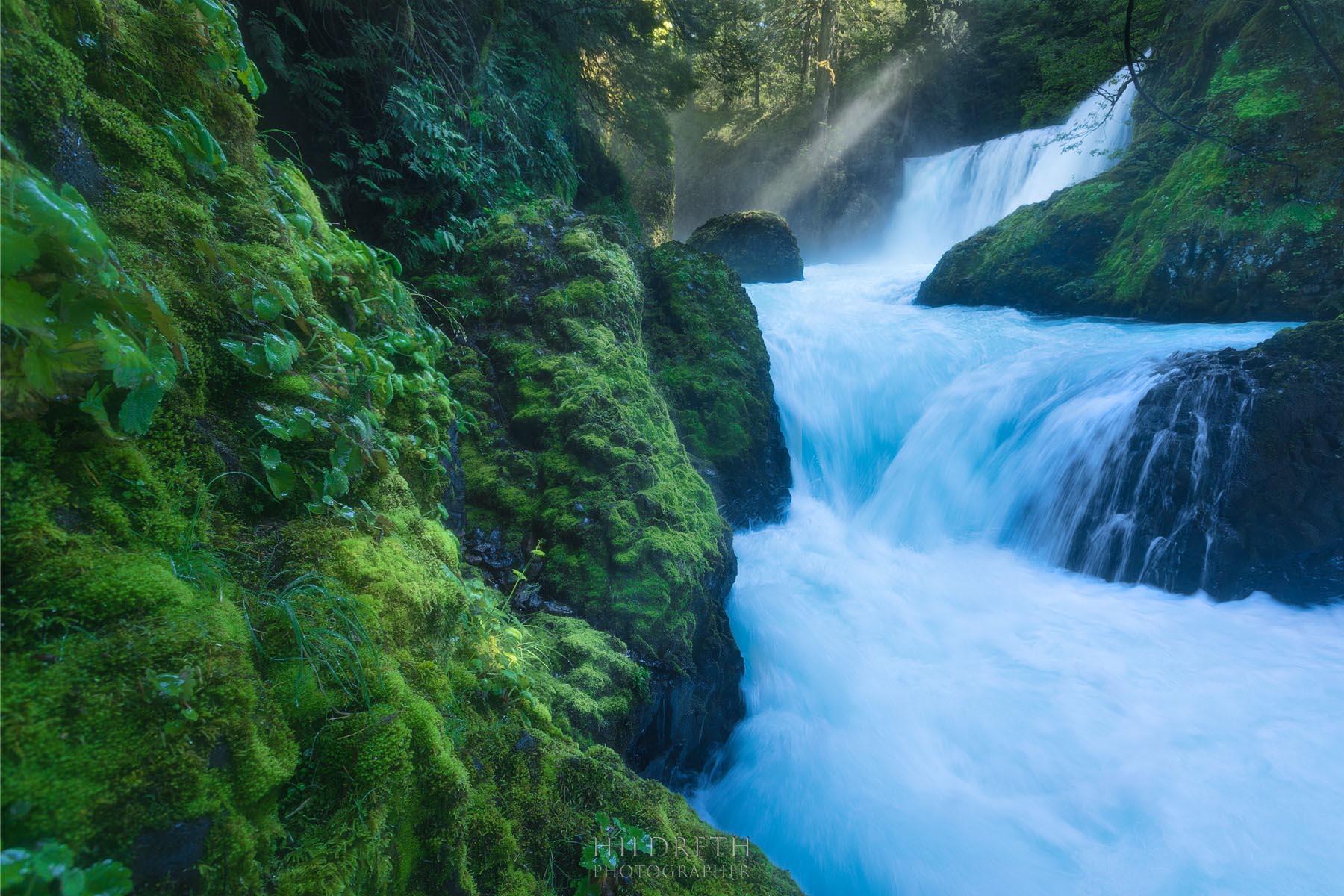 Mossy Dream<br><br>
Print Ratio: 2x3