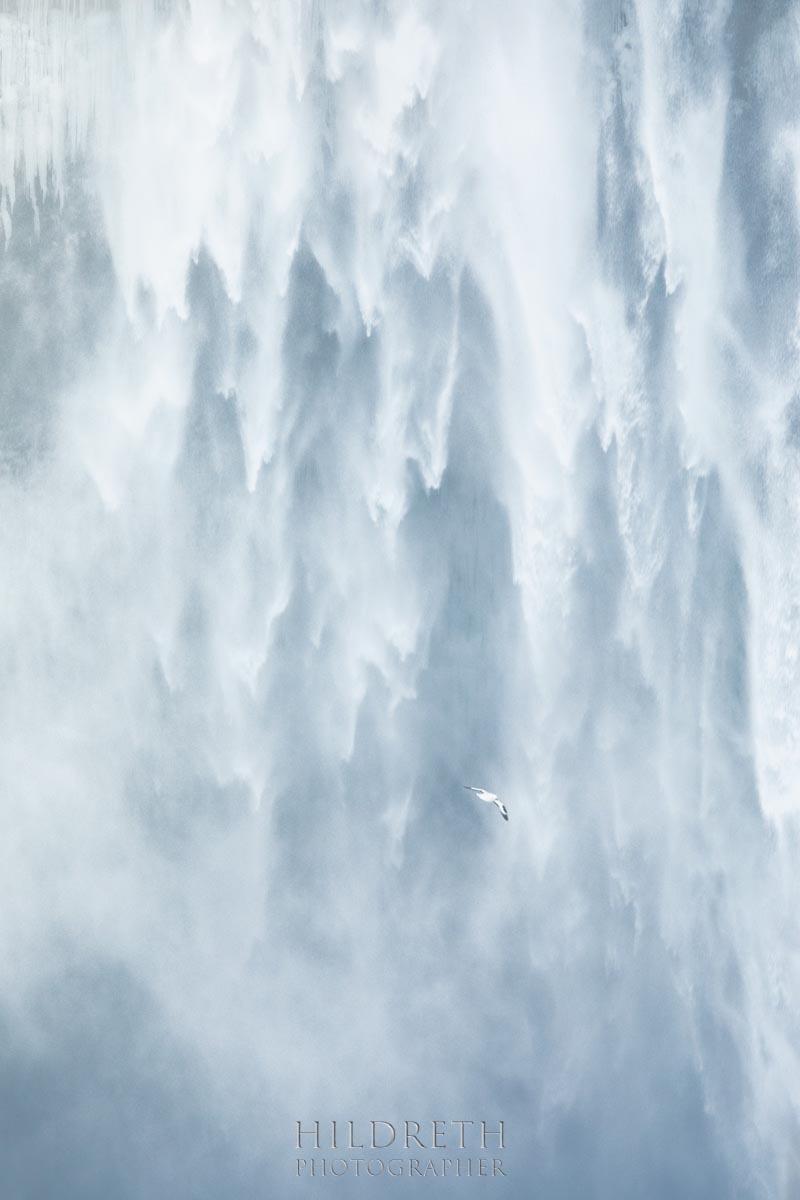 Freefall<br><br>
Print Ratio: 3x2