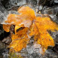 photography<br>© Jim Hildreth 2026